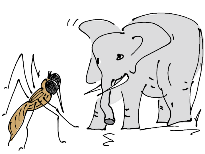 Mücke und Elefant